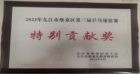 中国梦·劳动美2025九江市柴桑区第三届乒乓球赛